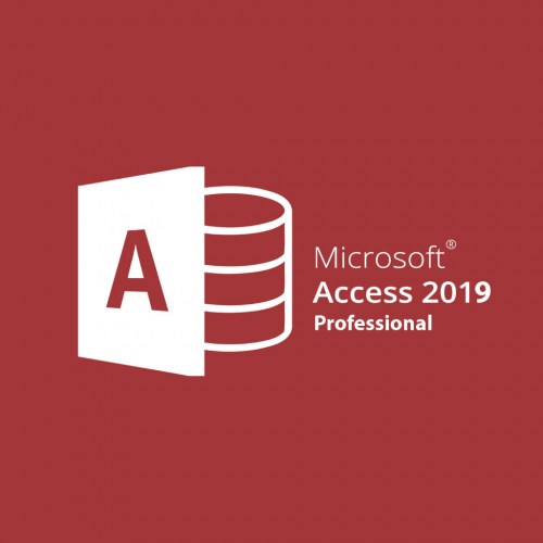 Microsoft Access 2019 Lisansı