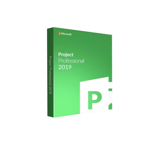 Microsoft Project 2019 Lisansı